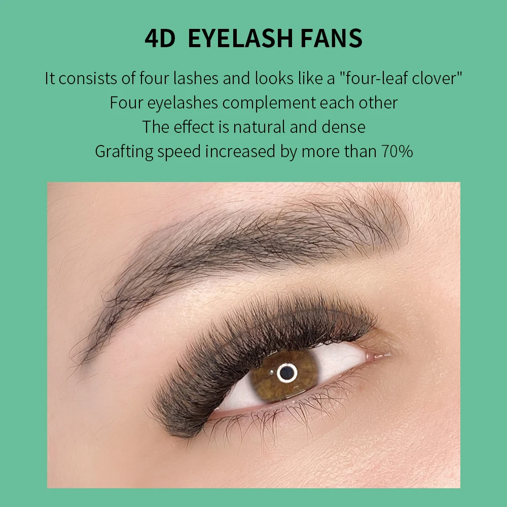 GLAMLASH 4D W Shape Eyelash Ex - Eyelash Extension Human Hair 리뷰 및 가격