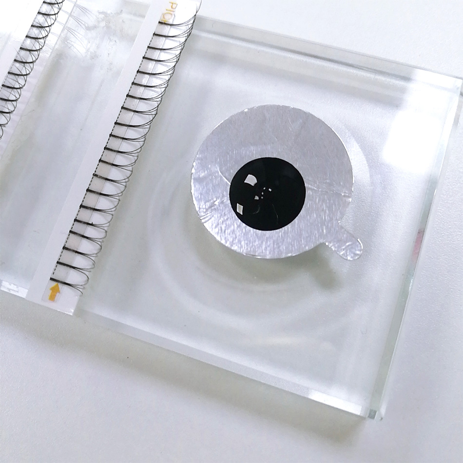 300Pcs/pack Disposable Waterpr - Lash Mapping Sticker 리뷰 및 가격