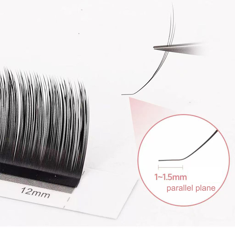 dream ballet Camellia Lashes w - Eyelash Extension Human Hair 리뷰 및 가격