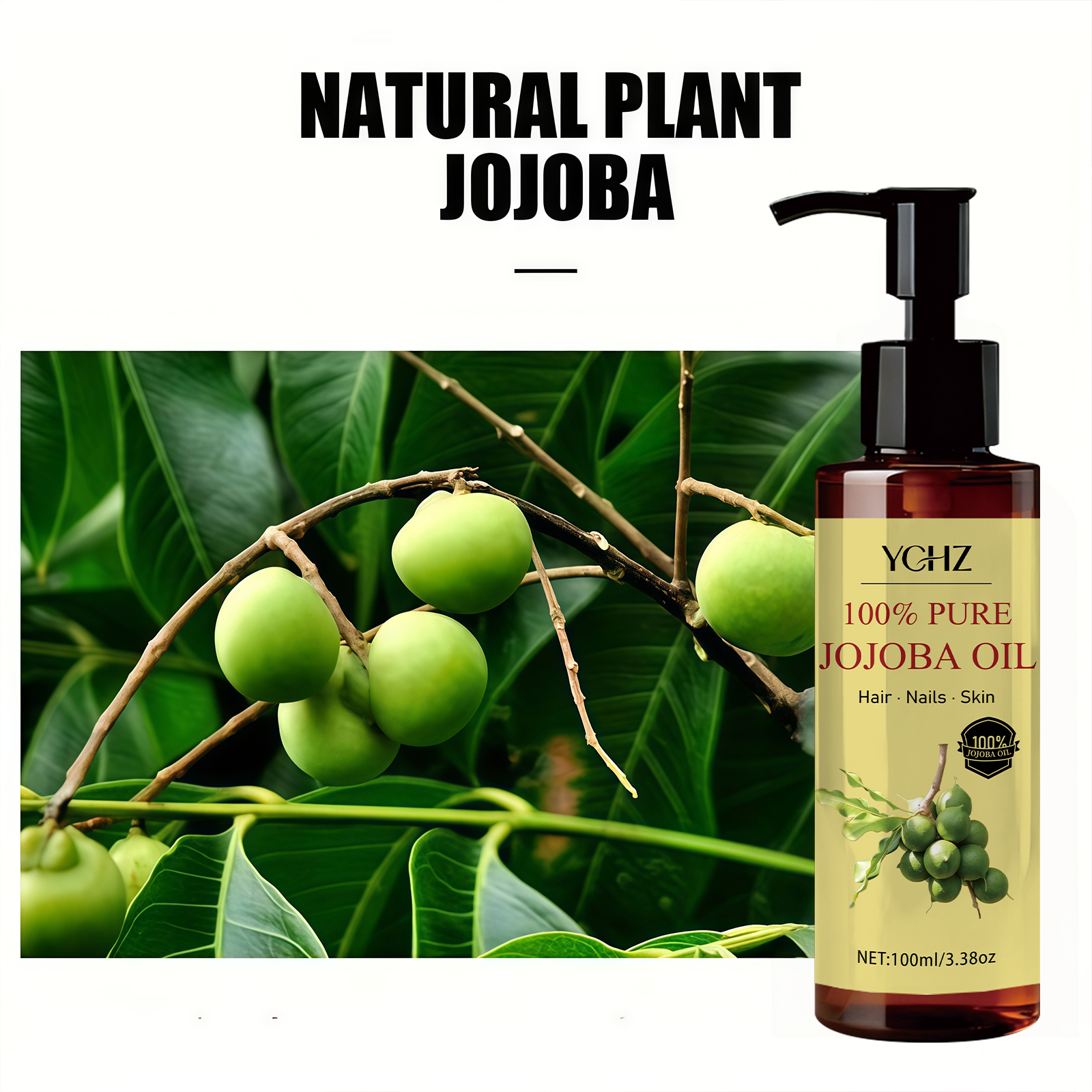 Jojoba Oil—Pure Natural Skin C - Eyelash Extension Human Hair 리뷰 및 가격