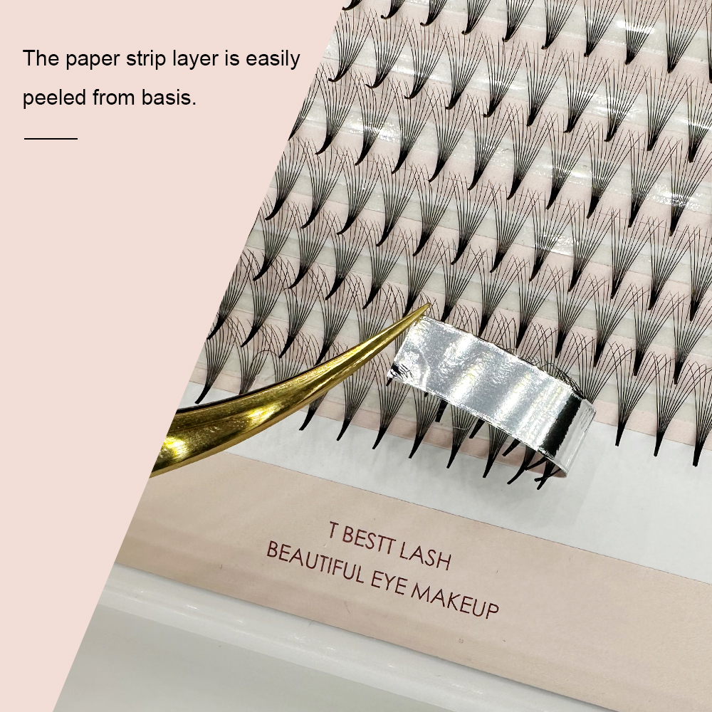 TBestt 5D/6D/8D/10D Premade Fa - Eyelash Extension Human Hair 리뷰 및 가격