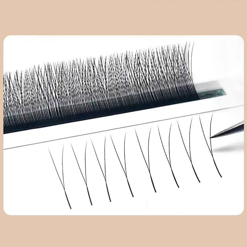 MARIA 2D Y Shape Eyelashes Han - Eyelash Extension Human Hair 리뷰 및 가격