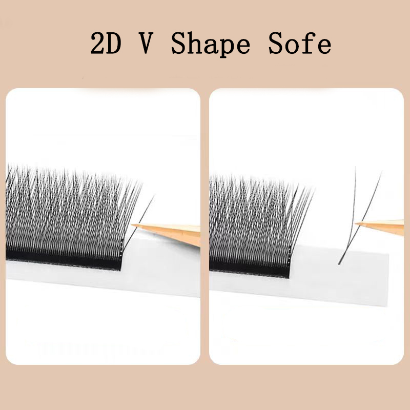 MARIA 2D Y Shape Eyelashes Han - Eyelash Extension Human Hair 리뷰 및 가격
